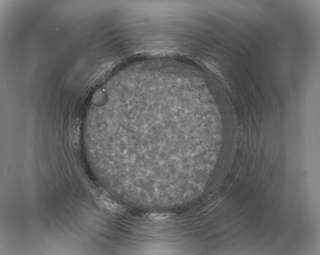 X0000077980495200611251349