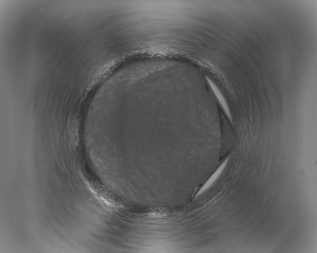 X0000077980496200611251349