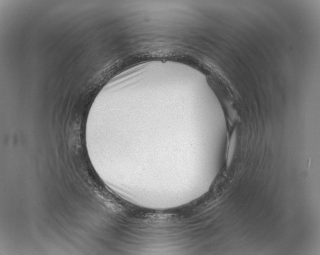 X0000077980497200611251349