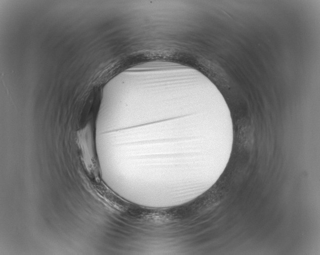 X0000077980498200611251349