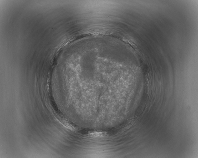 X0000077980499200611251349