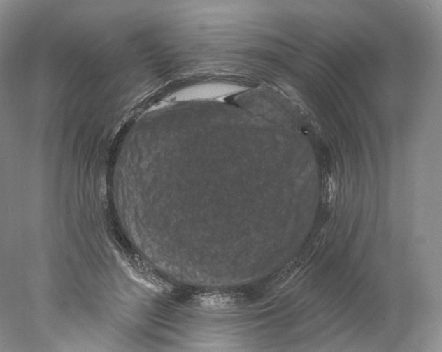 X0000077980500200611251349