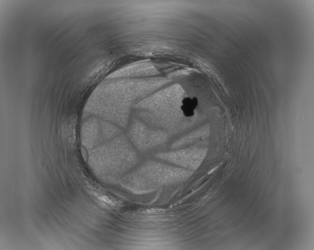 X0000077980501200611251349