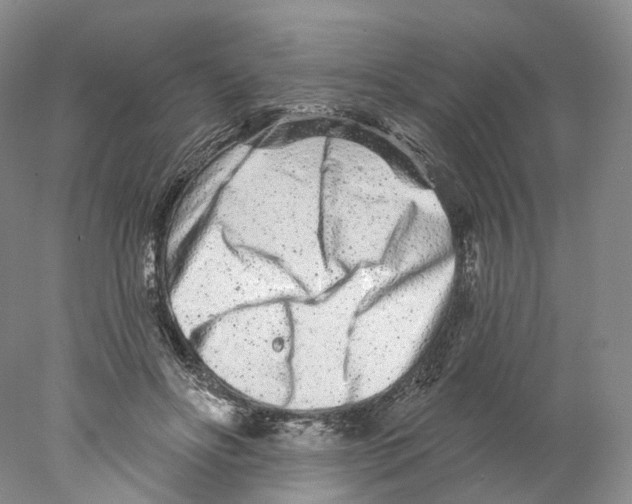 X0000077980502200611251349