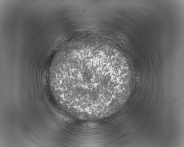 X0000077980503200611251349