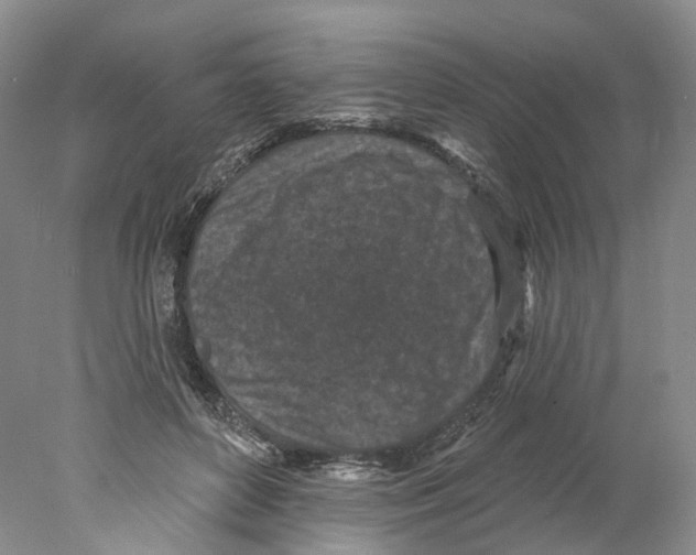 X0000077980504200611251349