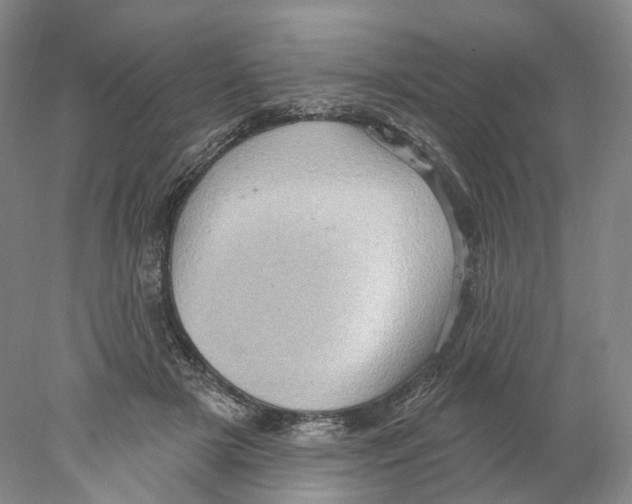 X0000077980505200611251349