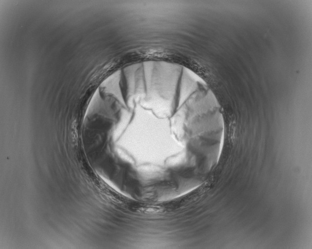 X0000077980506200611251349