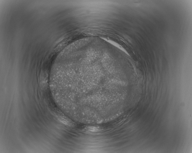 X0000077980507200611251349