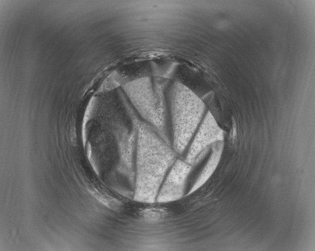 X0000077980508200611251349