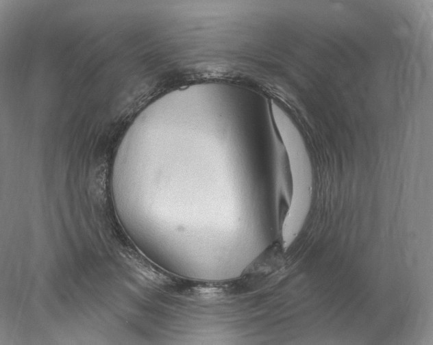 X0000077980509200611251349