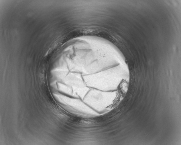 X0000077980510200611251349