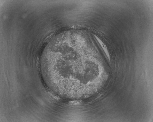 X0000077980511200611251349