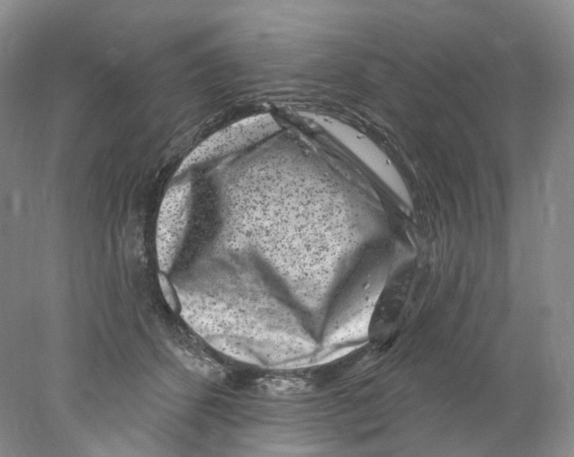 X0000077980512200611251349