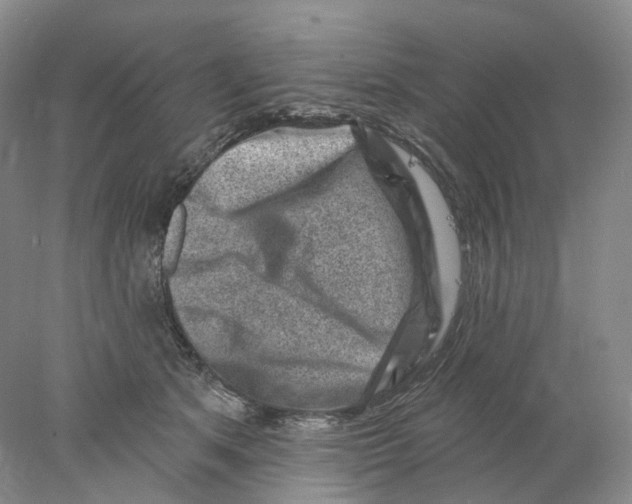 X0000077980513200611251349