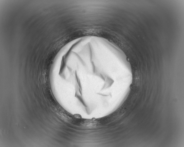 X0000077980514200611251349