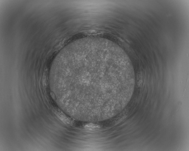 X0000077980515200611251349