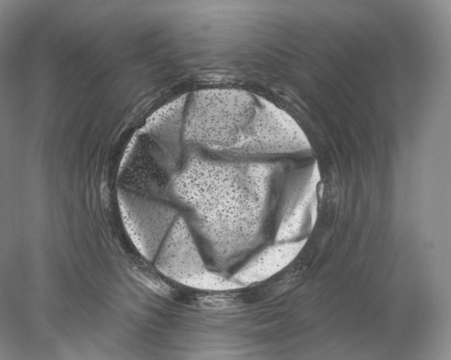 X0000077980516200611251349