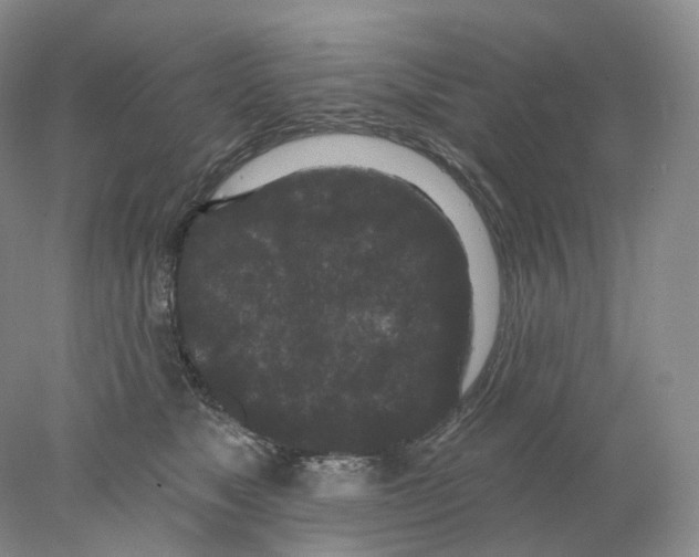 X0000077980517200611251349