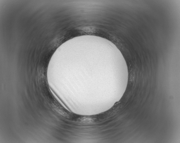 X0000077980518200611251349