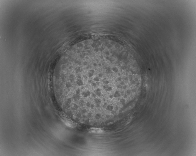 X0000077980519200611251349