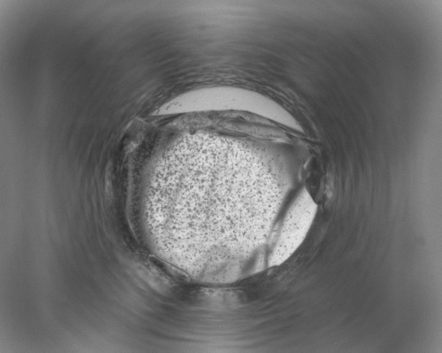 X0000077980520200611251349