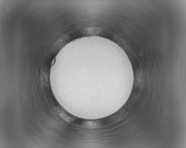 X0000077980522200611251349