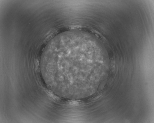 X0000077980523200611251349