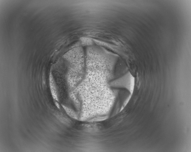 X0000077980524200611251349