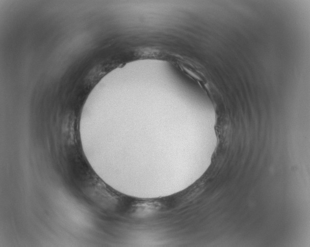 X0000077980525200611251349