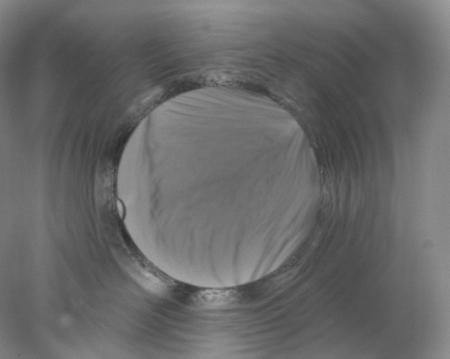 X0000077980526200611251349