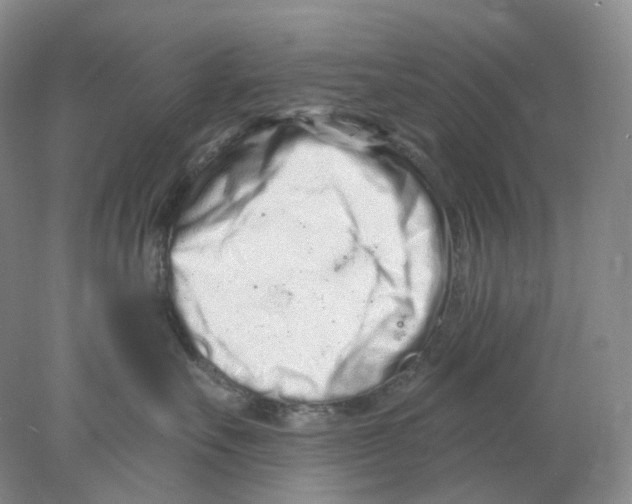 X0000077980527200611251348