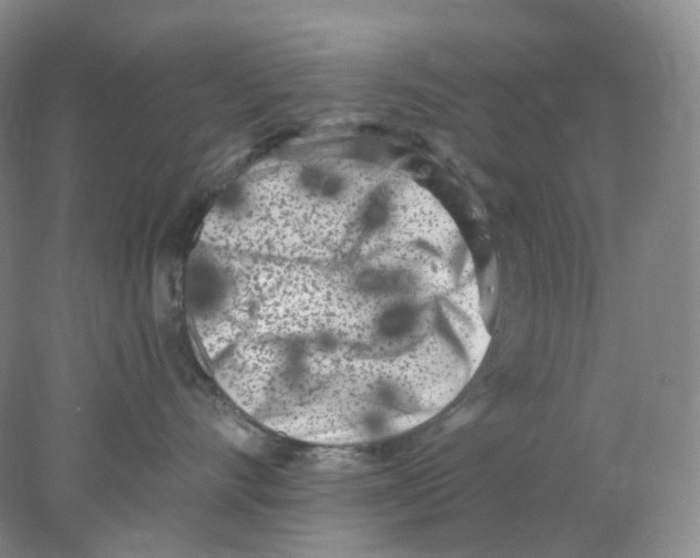 X0000077980528200611251348