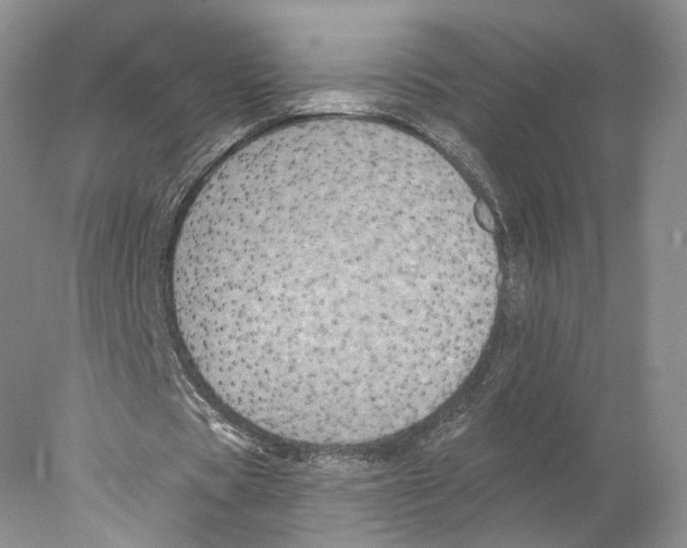 X0000077980529200611251348