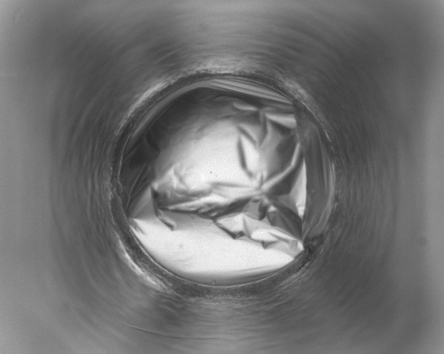 X0000077980530200611251348