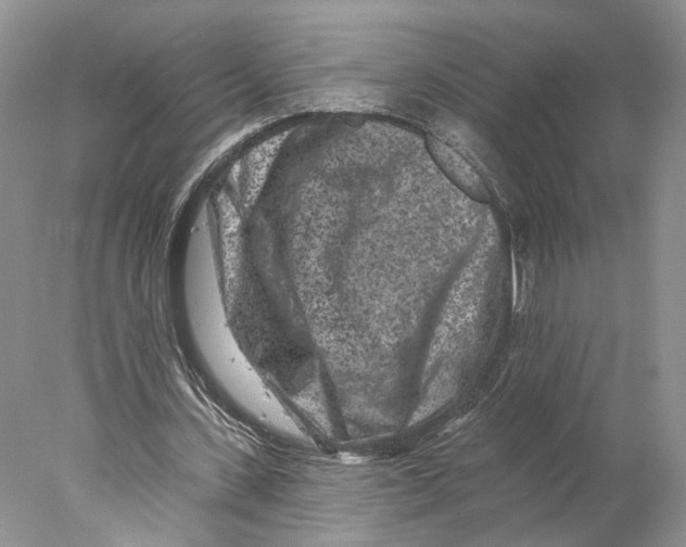 X0000077980531200611251348