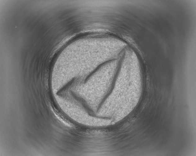 X0000077980533200611251348