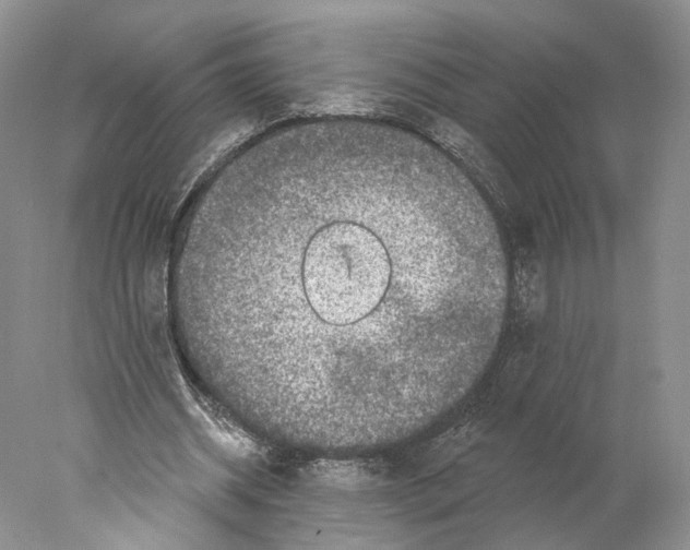 X0000077980534200611251348