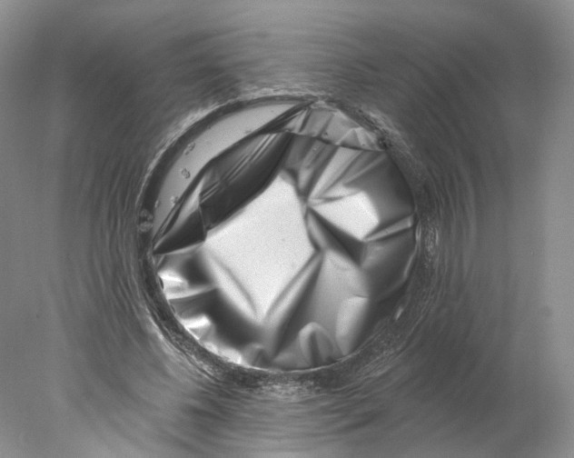 X0000077980540200611251348