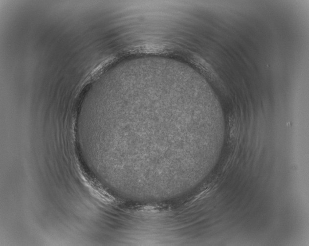 X0000077980542200611251348