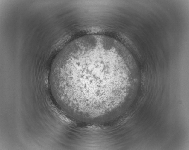 X0000077980545200611251348