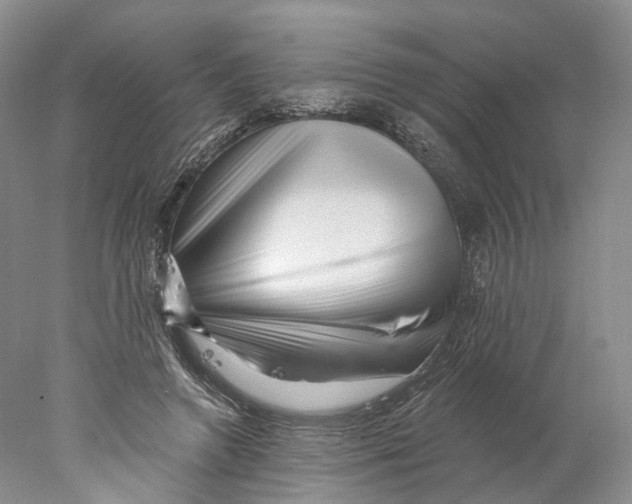 X0000077980546200611251348