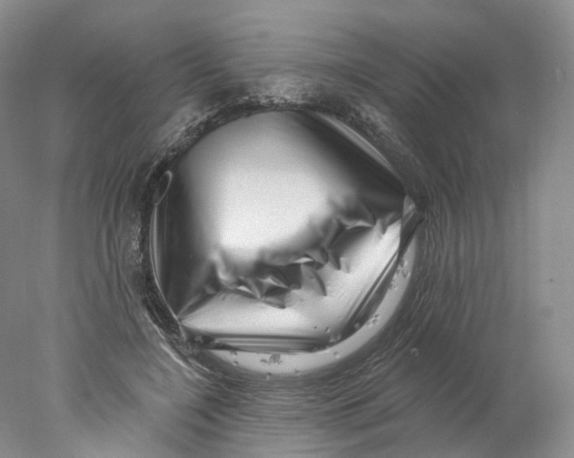 X0000077980548200611251348