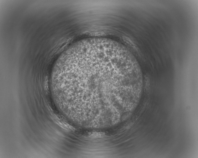 X0000077980549200611251348