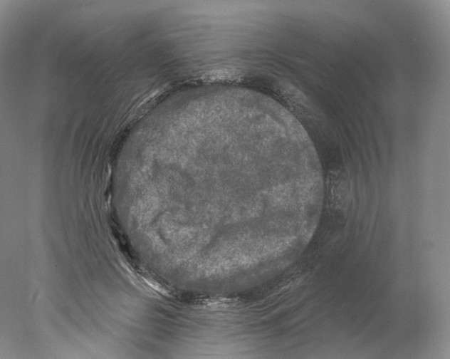 X0000077980550200611251348