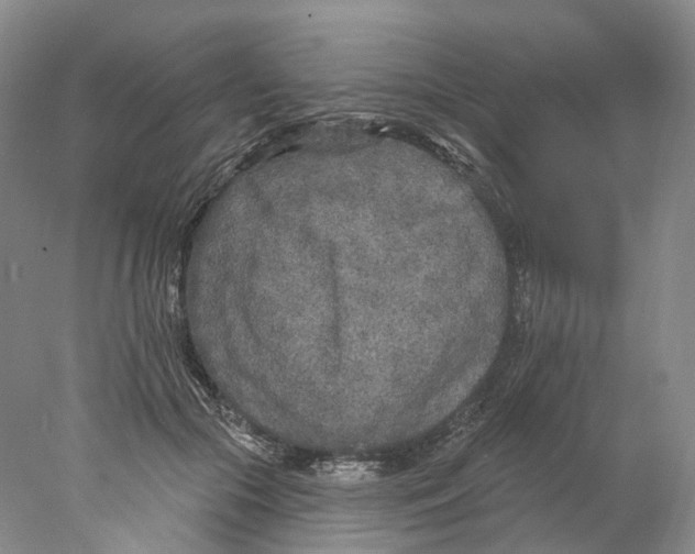 X0000077980553200611251348