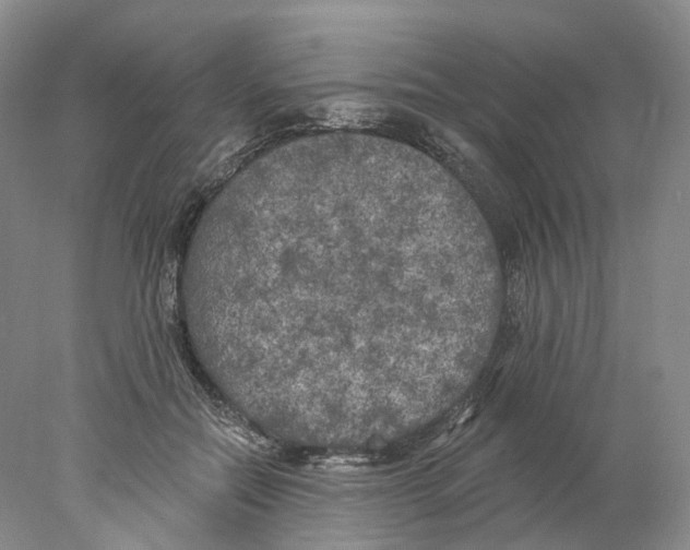 X0000077980554200611251348