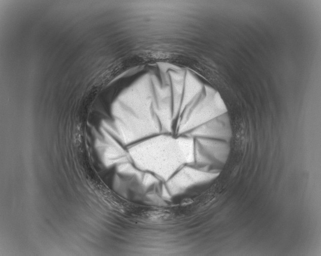 X0000077980555200611251348