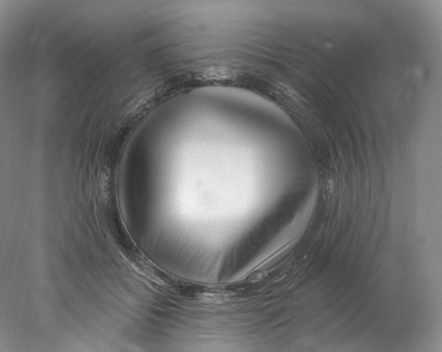 X0000077980556200611251348