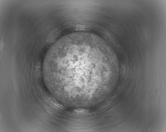 X0000077980557200611251348